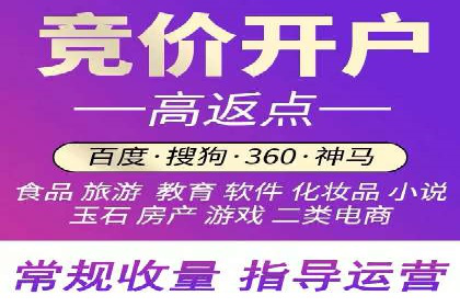 SEM推广代运营公司：实战案例解析